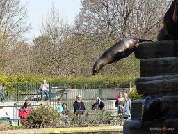 Tiergarten Schönbrunn am 23.03.2023